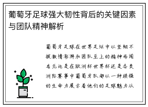 葡萄牙足球强大韧性背后的关键因素与团队精神解析